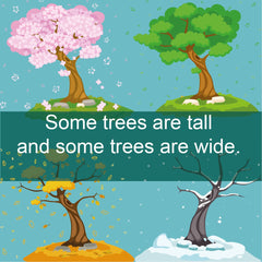 Trees For Kids So Many Kinds Of Trees I can Read Books Level 1 (I Can Read Kids Books Book Book 8)