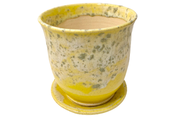 4" Lemony pot + saucer