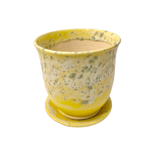 4" Lemony pot + saucer