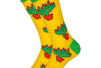 Cactus Menorah - Men