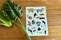 A sticker sheet featuring  art of rainforest animals and a plastic plant sitting on a wooden table. 