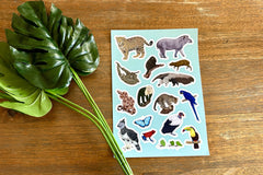 A sticker sheet featuring  art of rainforest animals and a plastic plant sitting on a wooden table. 