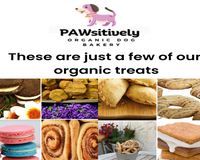 Hand-decorated organic dog cookies made with natural ingredients