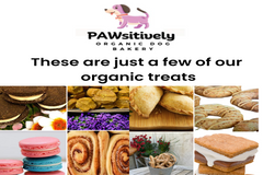 Hand-decorated organic dog cookies made with natural ingredients