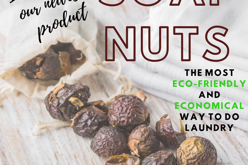 Soap Nuts/Berries (Sapindus Mukorossi) for Laundry