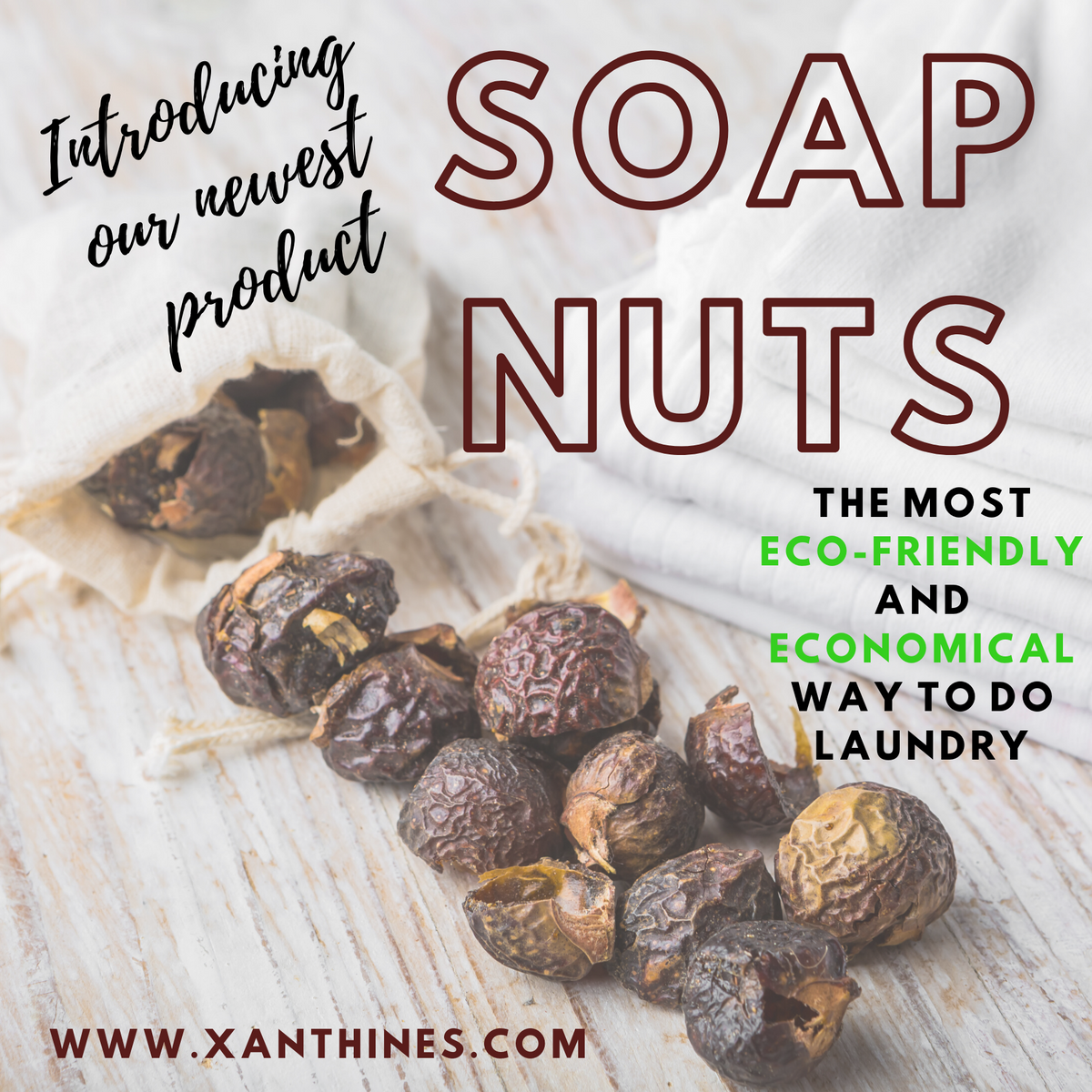 Soap Nuts/Berries (Sapindus Mukorossi) for Laundry