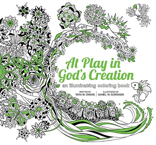 At Play in God's Creation: An Illuminating Coloring Book