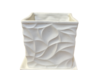 3.25” White square pot + saucer