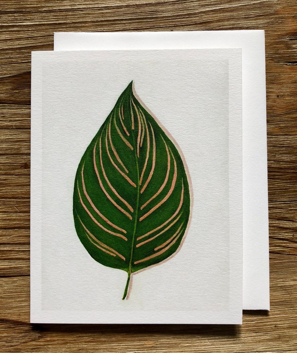 Calathea Ornata (Oil Painting) Any Occasion Card