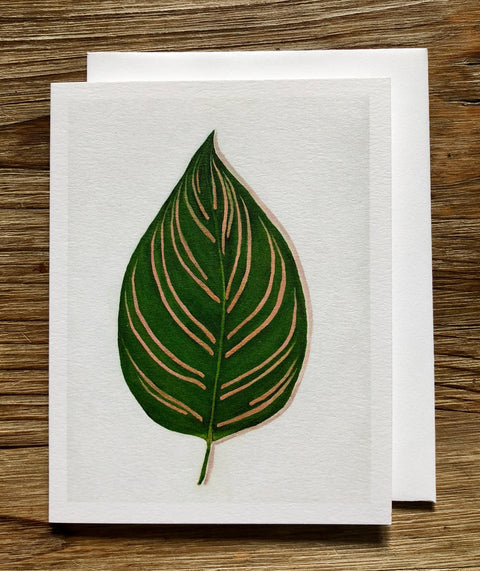 Calathea Ornata (Oil Painting) Any Occasion Card