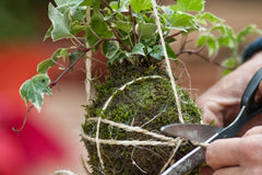 Making a Kokedama moss ball planter | Panache Craft Box - Monthly Craft Box + Live Virtual Art Class 