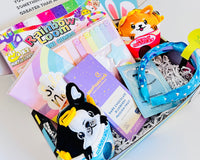 TWEEN WISHBOX - Bi-monthly Box