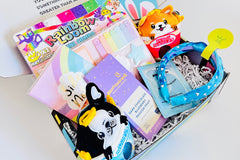 TWEEN WISHBOX - Bi-monthly Box
