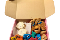 Assorted handmade organic bakery-style dog treats including decorated cookies and donuts