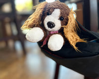 Snorri is in a purse showing that snorri can travel. She is sticking out of the purse with her paws, ears, and face on display. 
