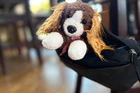 Snorri is in a purse showing that snorri can travel. She is sticking out of the purse with her paws, ears, and face on display. 
