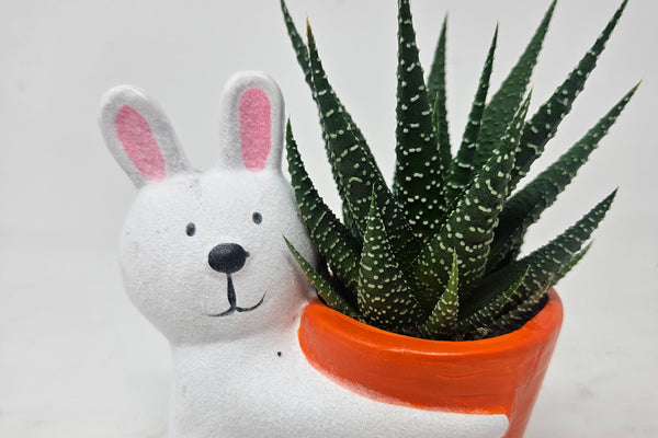 New this month at Cratejoy