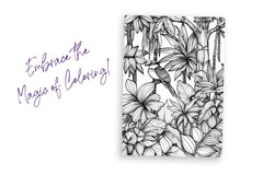 Colour the Classics