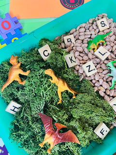Dino Discovery Sensory Box Hands On Dinosaur Themed Activities for Kids
