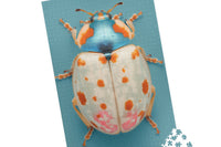 amazing jigsaw puzzle subscription box