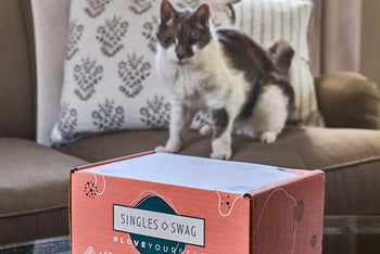 𝐂𝐚𝐭 𝐌𝐨𝐦 𝐌𝐲𝐬𝐭𝐞𝐫𝐲 𝐁𝐨𝐱 (10+ items for cats & their amazing moms!)