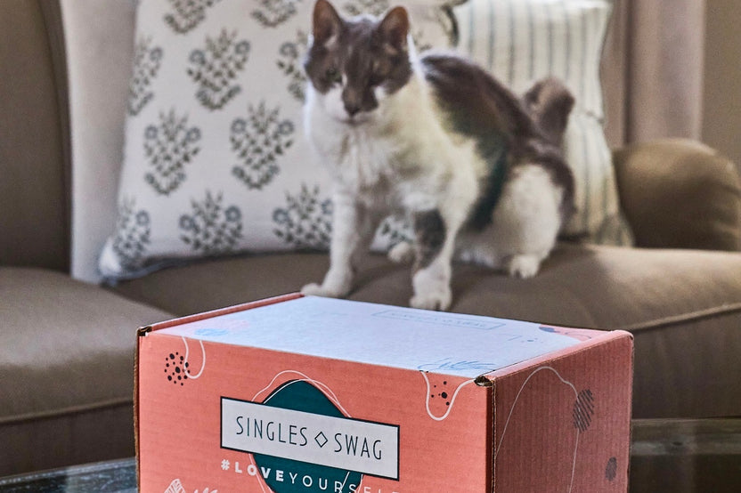 𝐂𝐚𝐭 𝐌𝐨𝐦 𝐌𝐲𝐬𝐭𝐞𝐫𝐲 𝐁𝐨𝐱 (10+ items for cats & their amazing moms!)