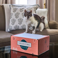 𝐂𝐚𝐭 𝐌𝐨𝐦 𝐌𝐲𝐬𝐭𝐞𝐫𝐲 𝐁𝐨𝐱 (10+ items for cats & their amazing moms!)