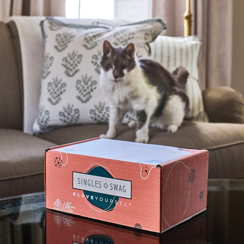 𝐂𝐚𝐭 𝐌𝐨𝐦 𝐌𝐲𝐬𝐭𝐞𝐫𝐲 𝐁𝐨𝐱 (10+ items for cats & their amazing moms!)