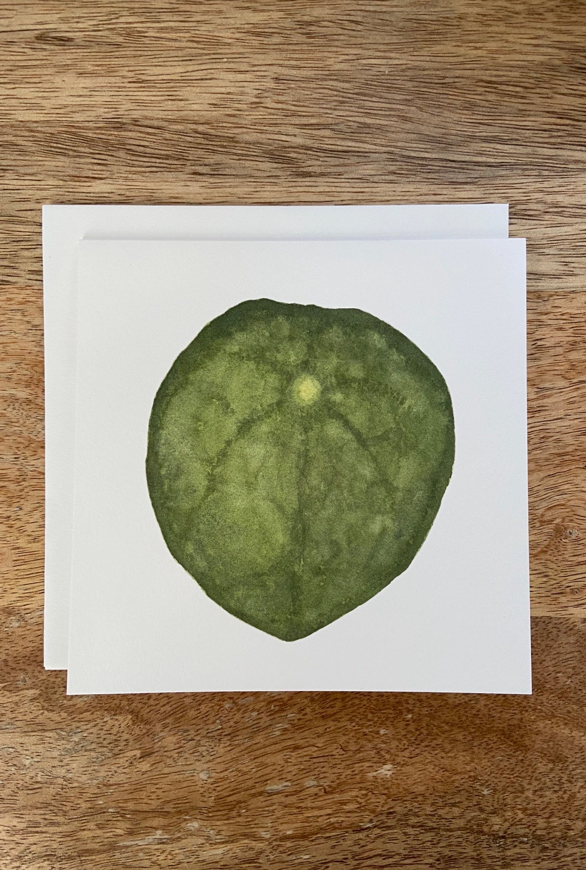 Chinese Money Plant Any Occasion Card