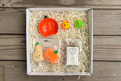 Paws for A Cause - Cat Box includes:
Two cat toys
One Large bag pet treats
One Lagniappe gift for the human
