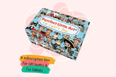 Purrfect Little Art Cat Lover's Box