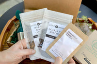 Little Woods Tea Passport