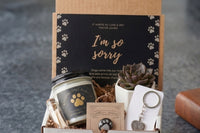 Dog Memorial Gift Box - Pet Loss Sympathy Care Package with Live Succulent & Candle