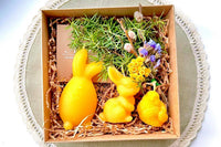 Nature rituals box relax