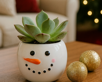 Tiny Tot Snowman with 2-inch Succulent