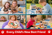 A new selection of educational , STEAM , and trendy plush toys released every month