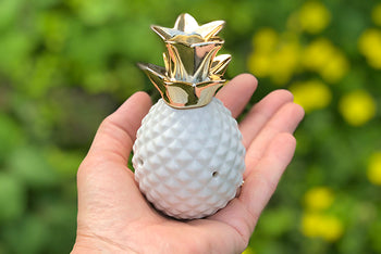 Pineapple Pipe