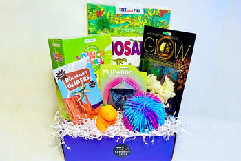 Nov VIP Box - Dinosaur Maze book, Glow Dinos, Puffer Glow Ball, Fliparoo, Dino squish, Dinosaur Glider, Dino Clay Models 