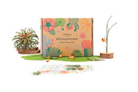 Healthy & Unique Succulent Subxriptipn Box Monthly, Live Succulent Indoor Plant Gift Ideas, Best Plant Gift for Women at Any Occasion