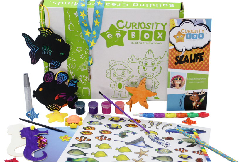 Sea Life Craft & Activity Box for Ages 8+