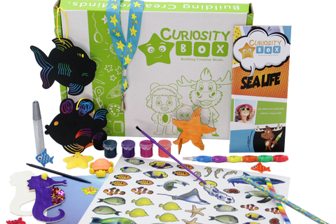 Sea Life Craft & Activity Box for Ages 8+