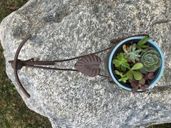 Succulent Bike