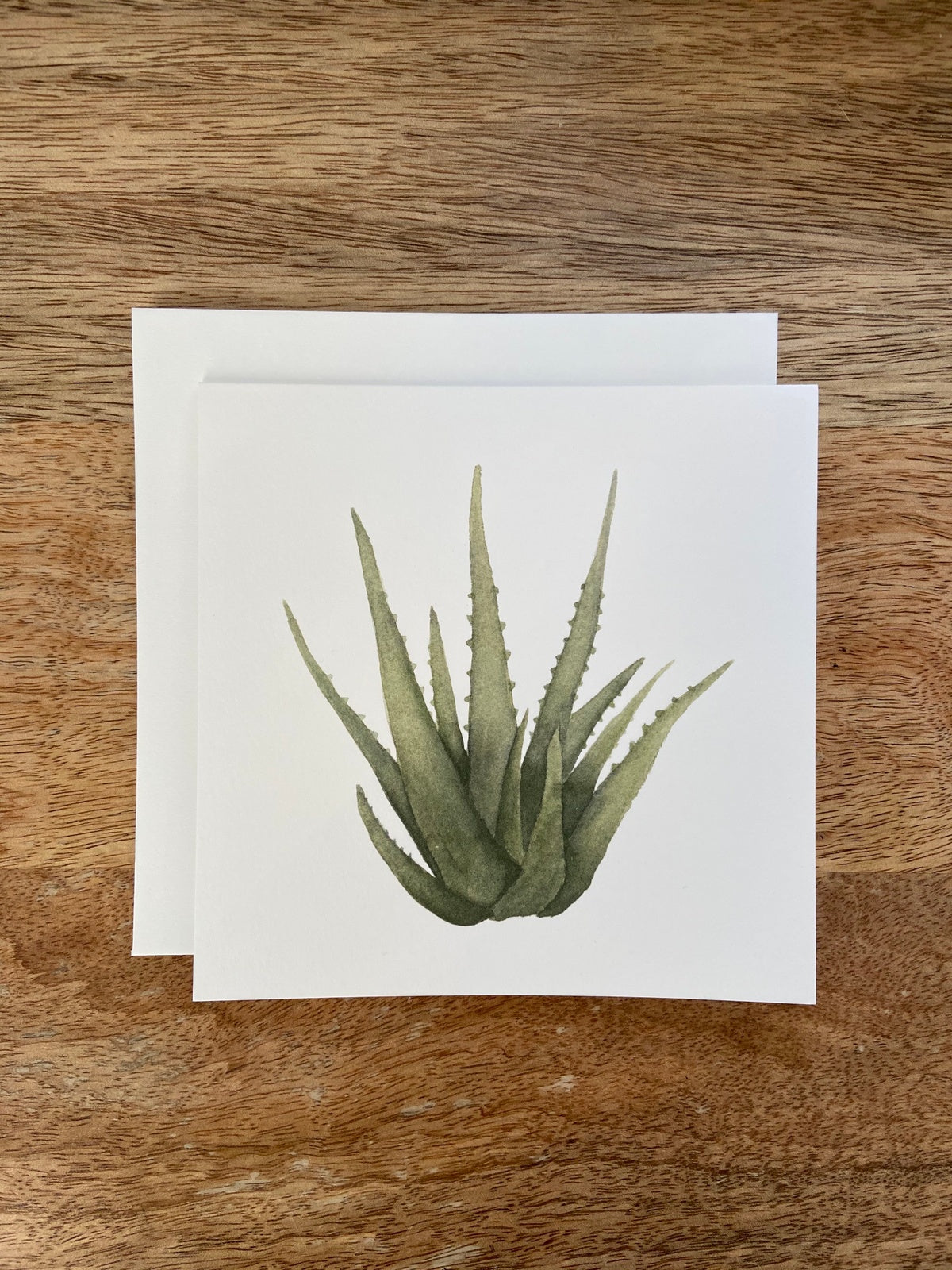Aloe Vera Any Occasion Card