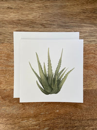 Aloe Vera Any Occasion Card