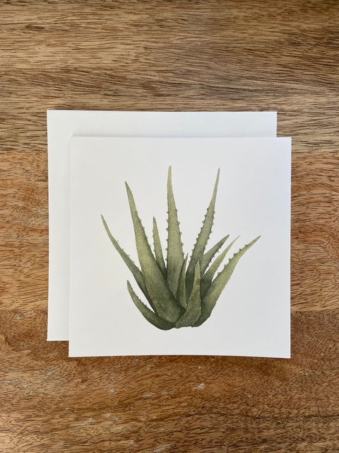 Aloe Vera Any Occasion Card