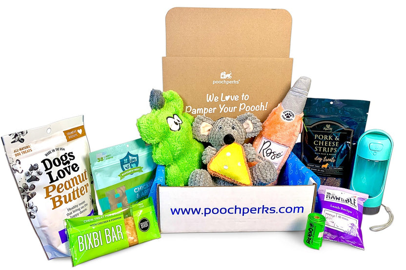 Pampered Pooch Box