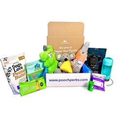 Pampered Pooch Box