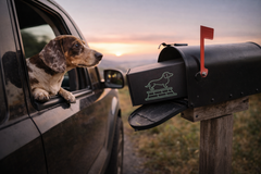 The Cult of Wiener dachshund box available as a one-time purchase, highlighting the current monthly theme with curated items for long-dogs.