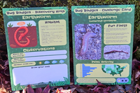 Two Bug Badges Earthworm cards on a mossy log—Discovery Hints and Challenge Card—showing habitat tips, fun facts, photos, observation space,