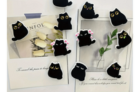         Start with our KITTEN box - then choose from 30 additional box themes for future months!  Modern Cat themed products!
